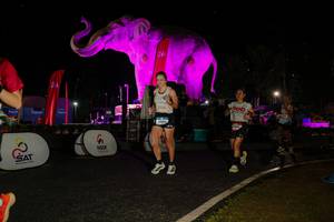 BIB: 
                            <button type="button" onclick="openModal(26534921)" class="btn btn-primary btn-sm float-right btn-popup" data-toggle="modal" data-target=".modal-high-quality">
                        <i class="fas fa-shopping-cart"></i> Add to Cart
                    </button>
                                            <button type="button" onclick="isThisMe(26534921, true)" class="btn btn-success btn-sm float-right btn-popup btn-isme hidden" data-toggle="tooltip" data-placement="bottom" title="นี่คือรูปของคุณใช่ไหม คลิกที่นี่เพื่อเอาเข้าอัลบั้ม">
                        <i class="fas fa-plus"></i> Add to album
                    </button>
                    <button type="button" onclick="isThisMe(26534921, false)" class="btn btn-warning btn-sm float-right btn-popup btn-isnotme hidden">
                        <i class="fas fa-ban"></i> Remove from album
                    </button>